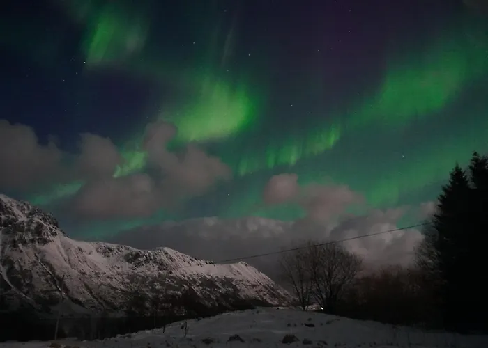 Premium Rural - Appartamento Leknes